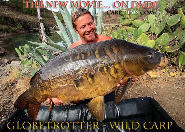 DaveWILDCARPDVD.jpg