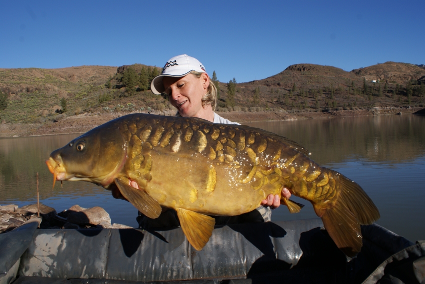GranCanariafeb2013122.jpg