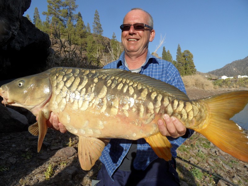 carp05.JPG