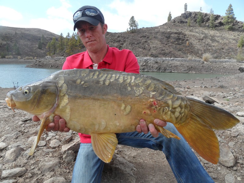 carp10.JPG