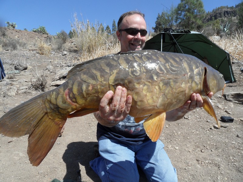 carp10.JPG