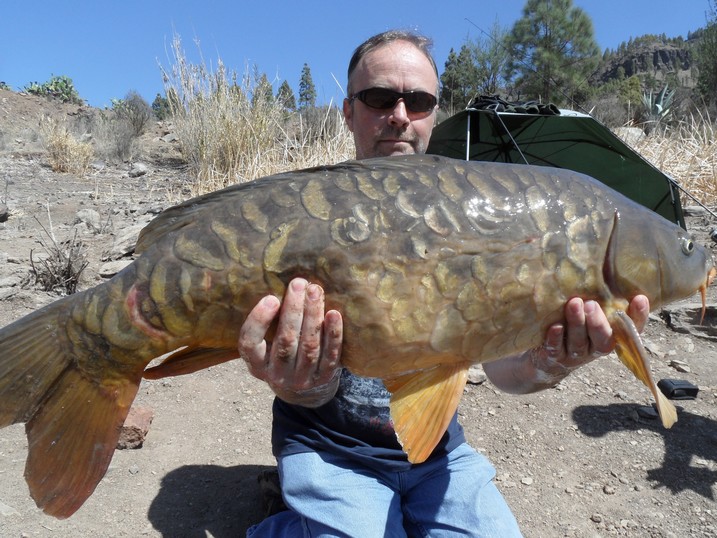 carp10.JPG