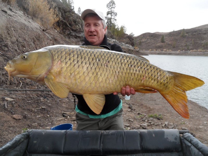 carp15.jpg