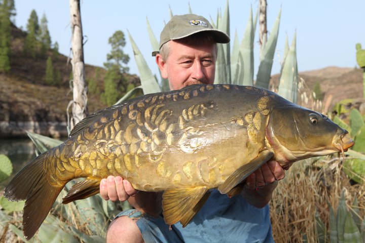 carp15.jpg