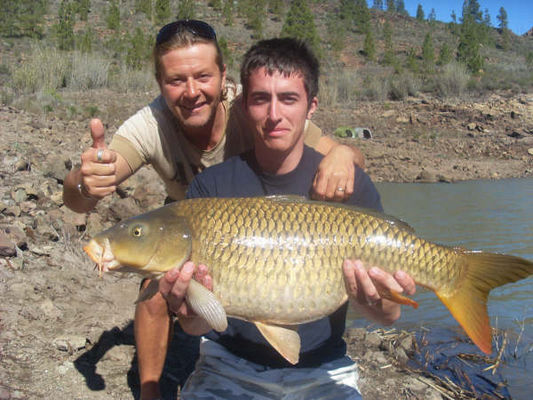 carp15.jpg