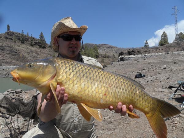 carp20.JPG