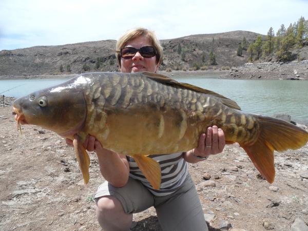 carp20.JPG