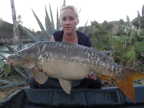 carp25.JPG