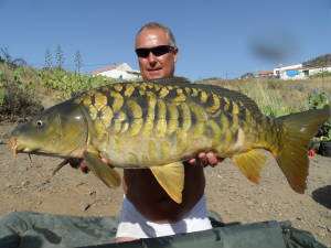 043.JPG