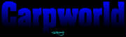 CWNEWLogoOnWhite.jpg