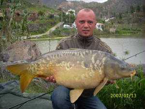 IMG0366.jpg