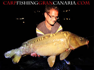 carp7.jpg