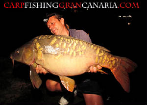 nightcarp.jpg