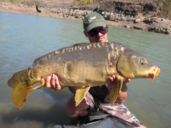 j9.jpg